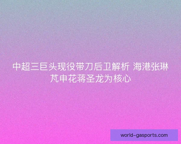 中超三巨头现役带刀后卫解析 海港张琳芃申花蒋圣龙为核心 中超三巨头现役带刀后卫解析 海港张琳芃申花蒋圣龙为核心