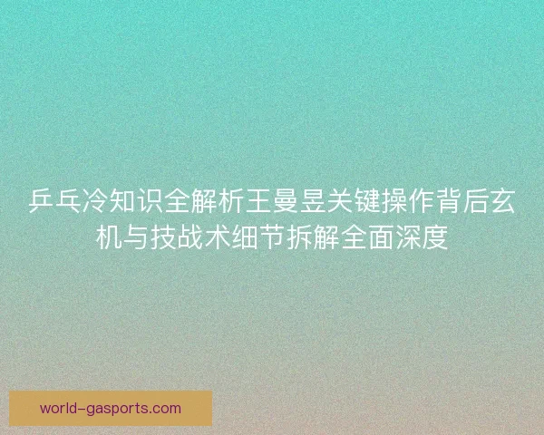 乒乓冷知识全解析王曼昱关键操作背后玄机与技战术细节拆解全面深度 乒乓冷知识全解析王曼昱关键操作背后玄机与技战术细节拆解全面深度